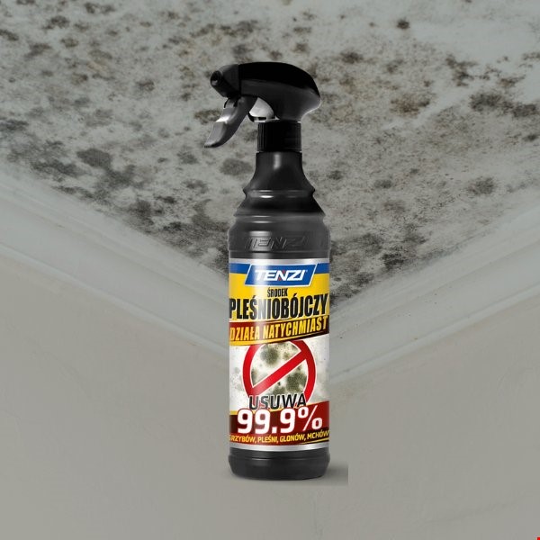 חומר לניקוי עובש